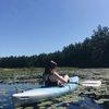 bellamagee